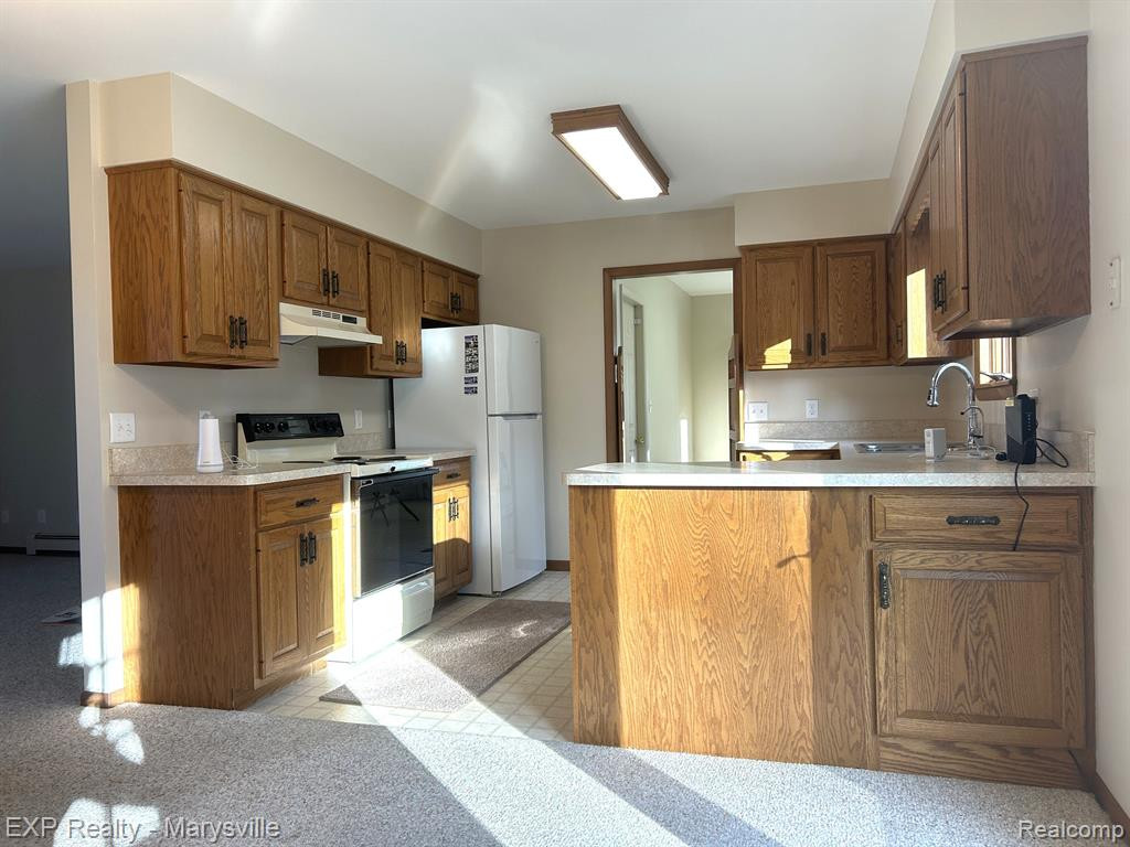 13561 SPEAKER Road, Lynn, MI 48097 — Photo 6