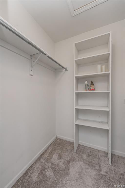 5721 CEDAR RIDGE Drive, Ann Arbor, MI 48103 — Photo 28
