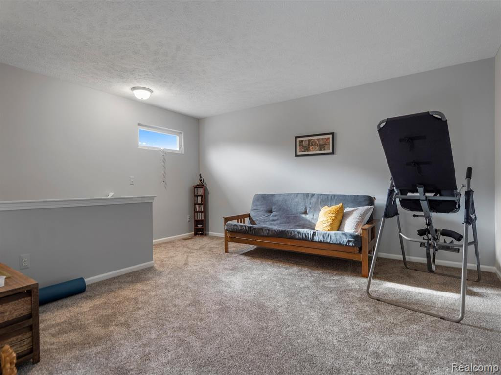 22 SEDUM, Howell, MI 48843 — Photo 14