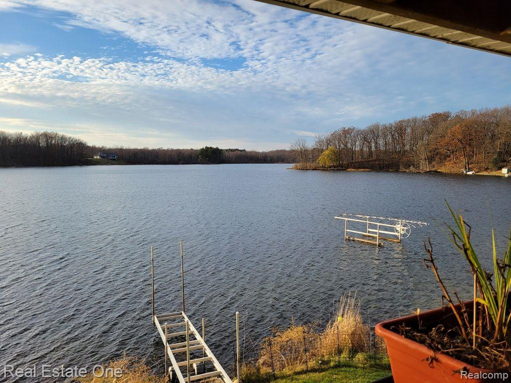 6555 Sherman Drive, Otter Lake, MI 48464 — Photo 3