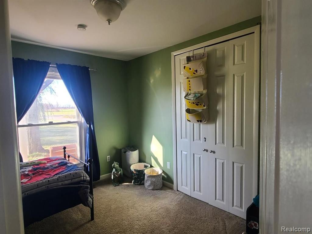 9559 BRITTON, Tecumseh, MI 49286 — Photo 17