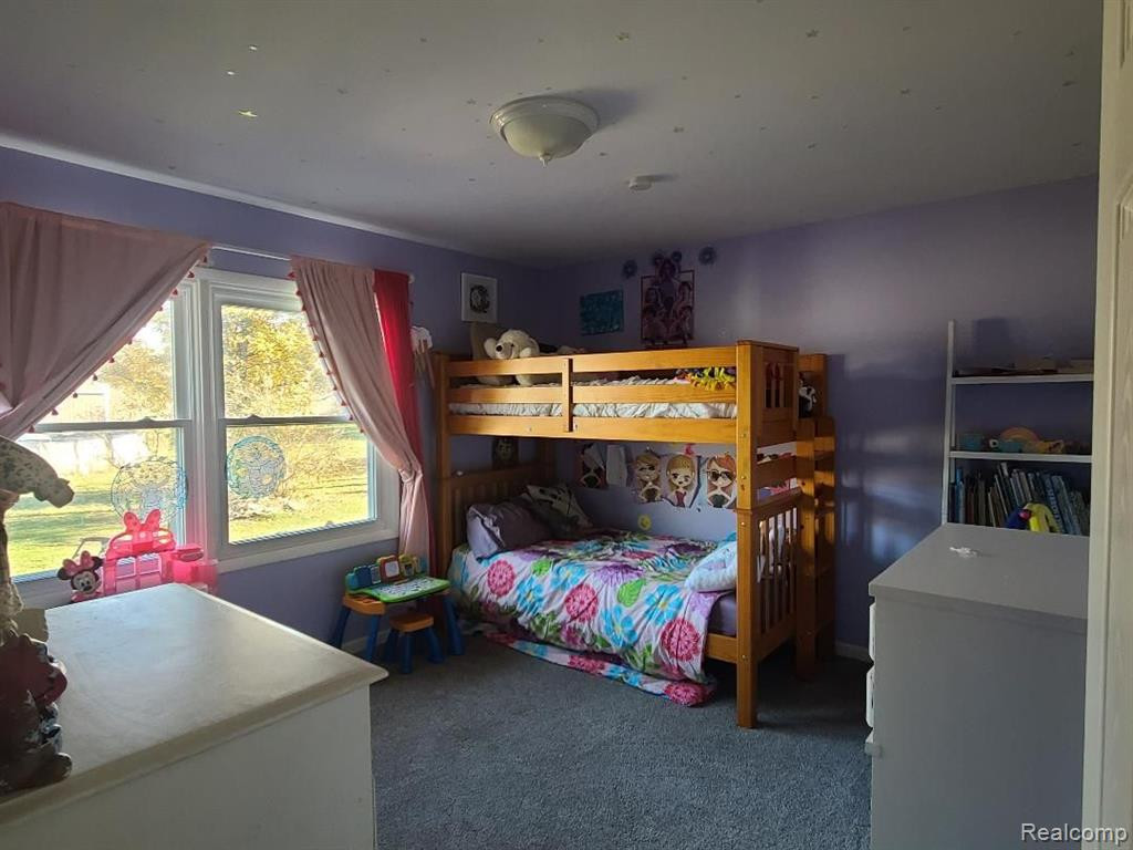 9559 BRITTON, Tecumseh, MI 49286 — Photo 18