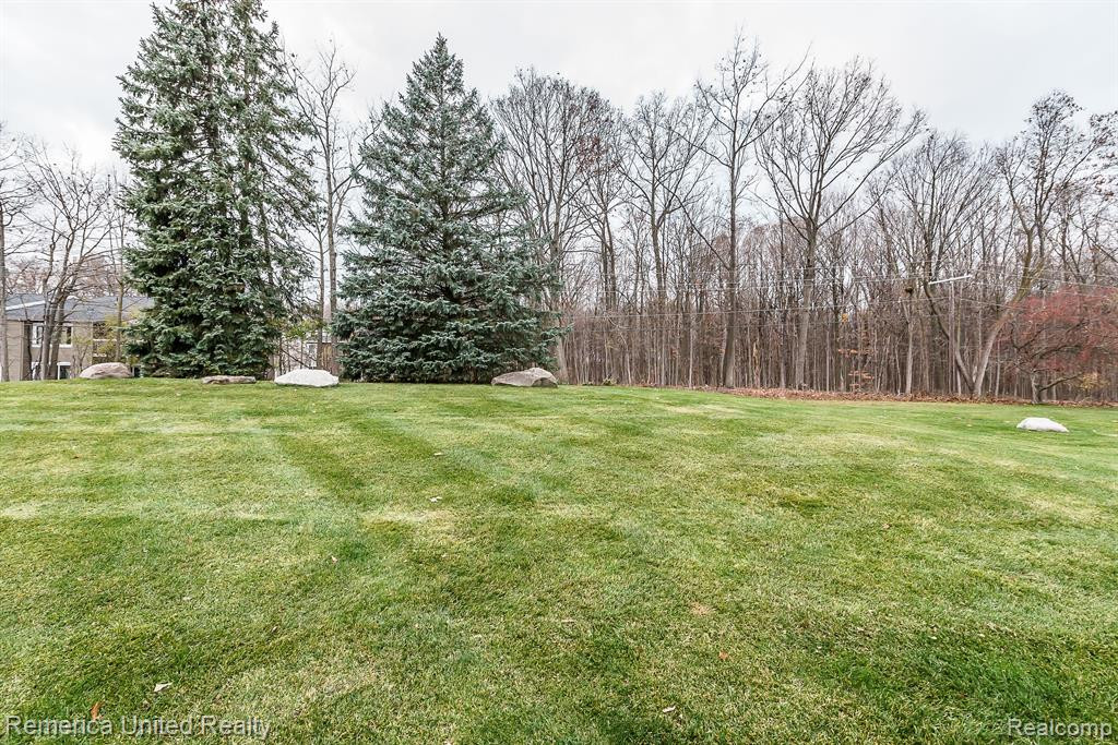 42198 ROSCOMMON Street, Northville, MI 48167 — Photo 39