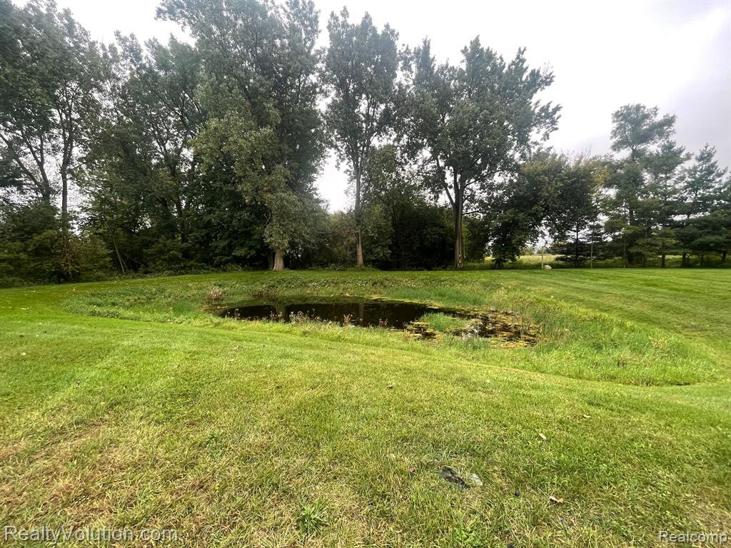 7358 LYONS Road, Imlay City, MI 48444 — Photo 16