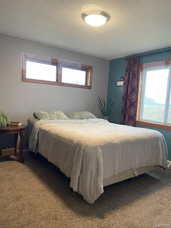 5006 HARRIS Road, Grant, MI 48032 — Photo 17