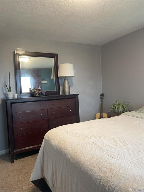 5006 HARRIS Road, Grant, MI 48032 — Photo 18