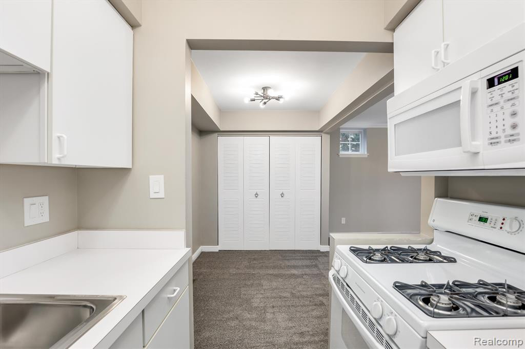 519 LONGSHORE Drive, A, Ann Arbor, MI 48105 — Photo 14