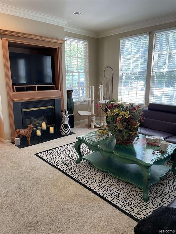 354 CONSTITUTION Street, Canton, MI 48188 — Photo 5