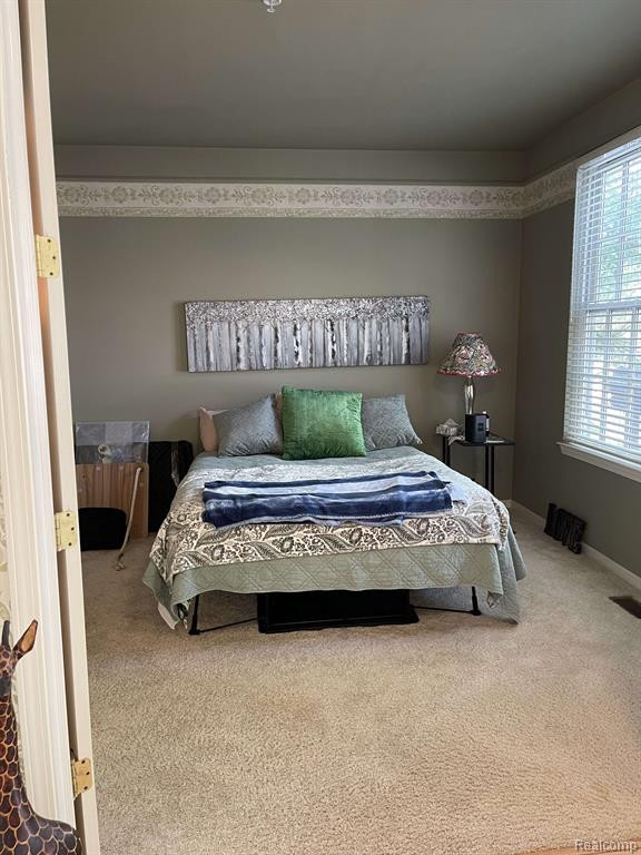 354 CONSTITUTION Street, Canton, MI 48188 — Photo 8