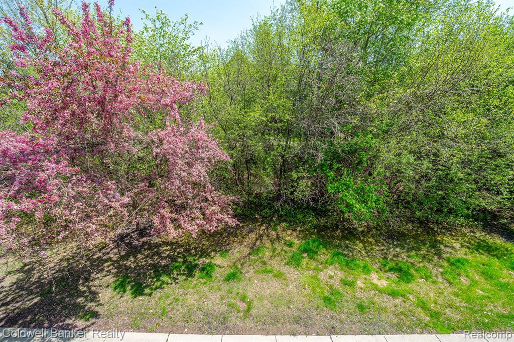 4155 BERKELEY Avenue, Canton, MI 48188 — Photo 9