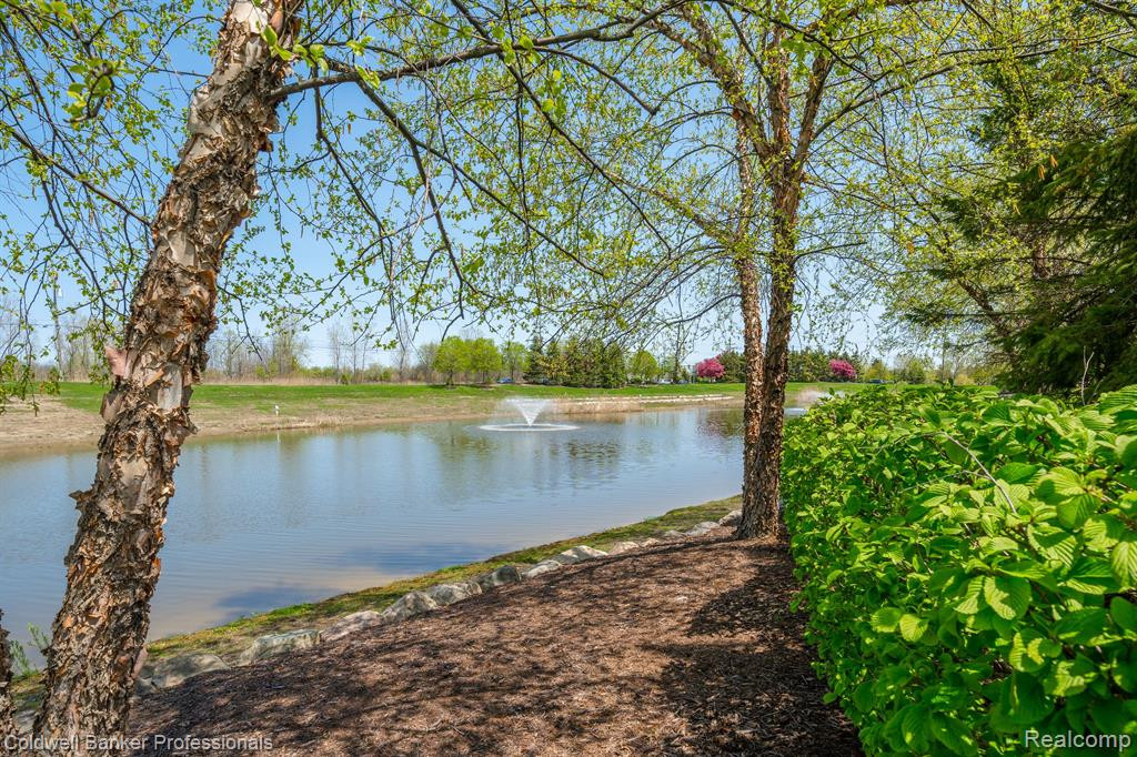 4155 BERKELEY Avenue, Canton, MI 48188 — Photo 39