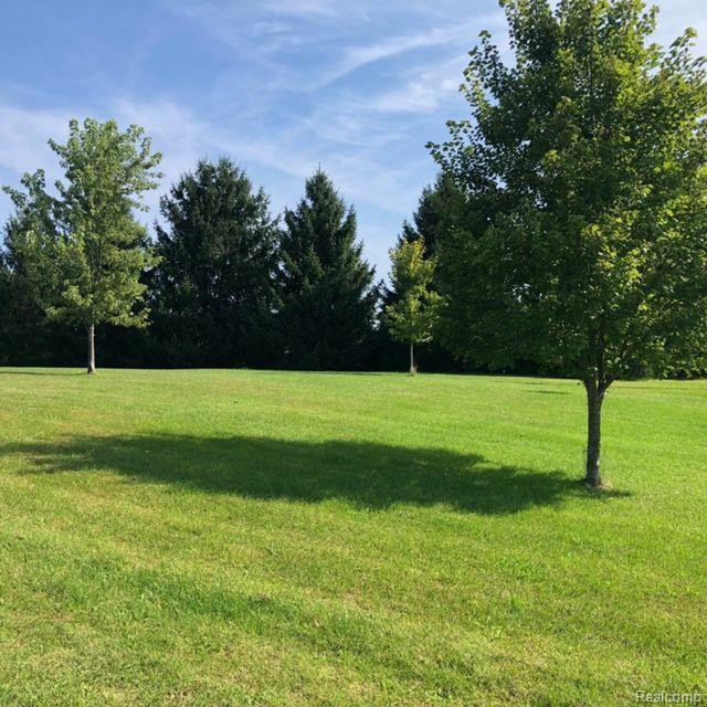 53 E BARNES Road, Fostoria, MI 48435 — Photo 3