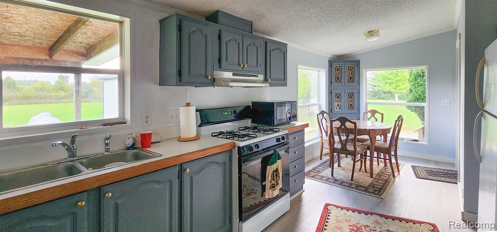 53 E BARNES Road, Fostoria, MI 48435 — Photo 9
