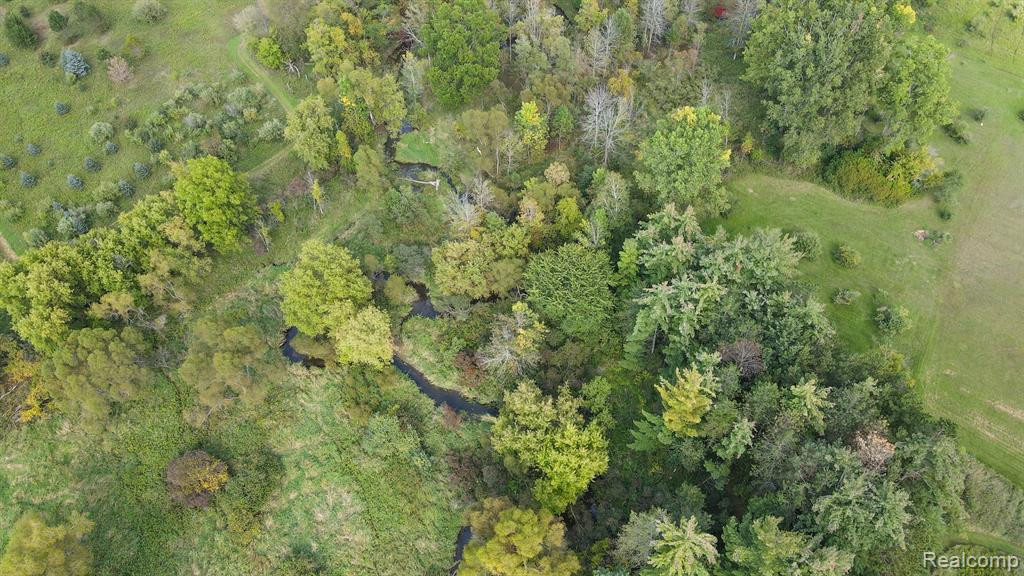 53 E BARNES Road, Fostoria, MI 48435 — Photo 28
