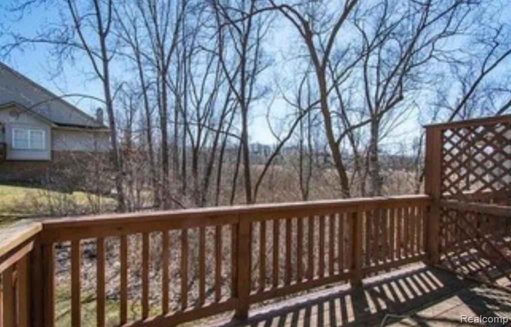 41767 WEBSTER, Novi, MI 48377 — Photo 13