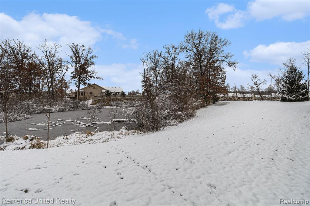 939 PERSIMMON Drive, Brighton, MI 48116 — Photo 4
