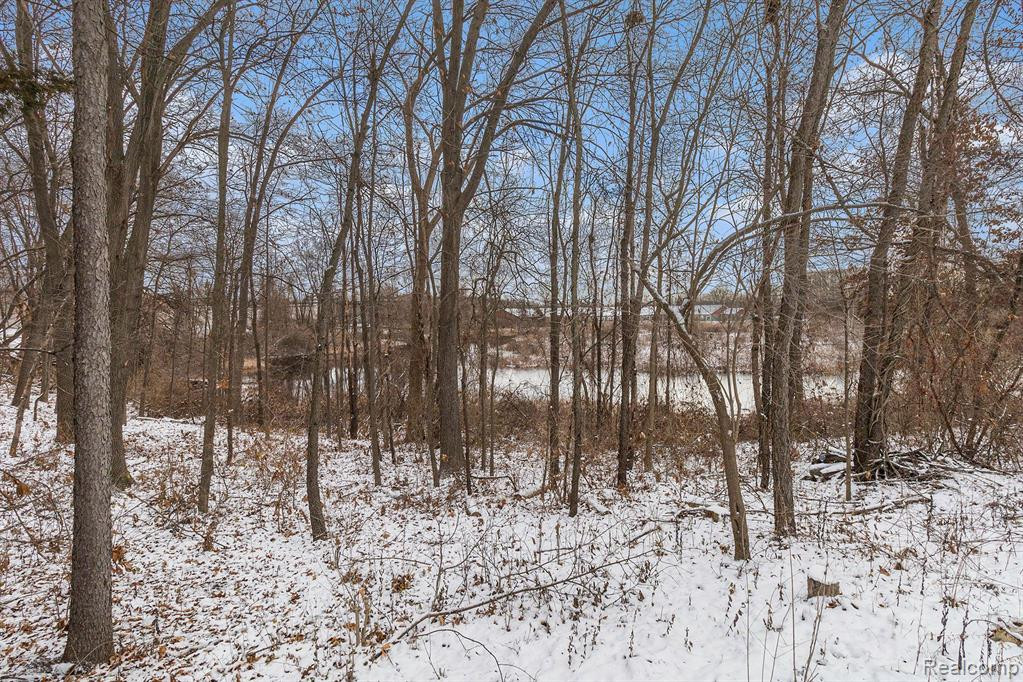 396 SPRING BROOKE Drive, Brighton, MI 48116 — Photo 29
