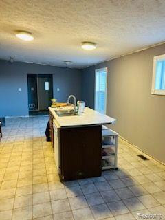 8325 WILLIS Road, Brown, MI 48416 — Photo 13