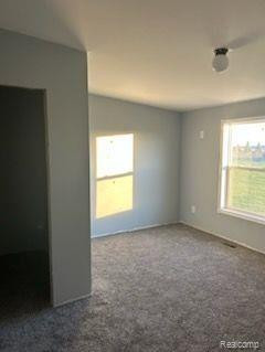 8325 WILLIS Road, Brown, MI 48416 — Photo 20