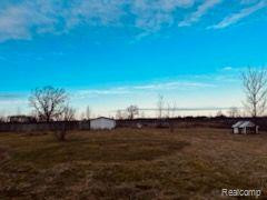 8325 WILLIS Road, Brown, MI 48416 — Photo 30