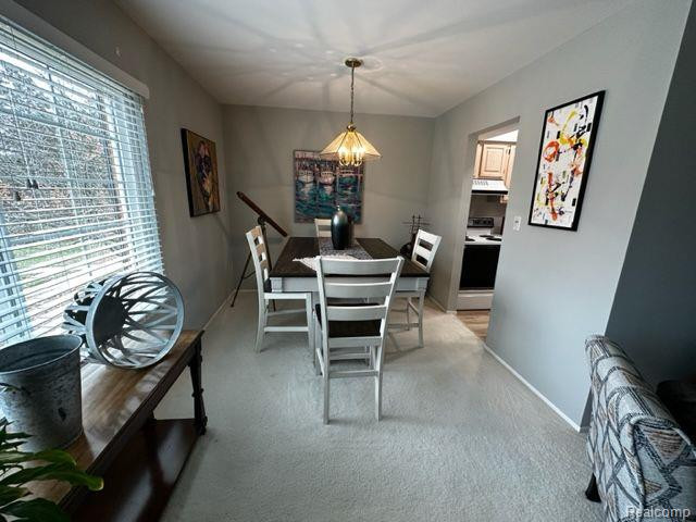 751 E FOX HILLS Drive, Bloomfield Hills, MI 48304 — Photo 13
