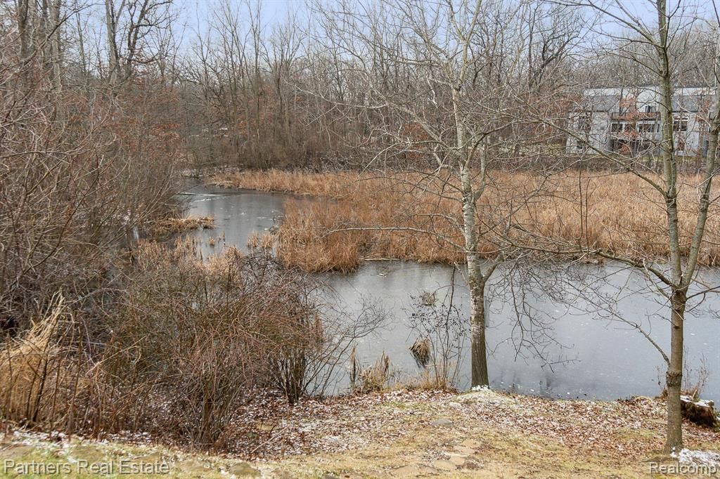 2928 W TELLURIDE, Brighton, MI 48114 — Photo 4