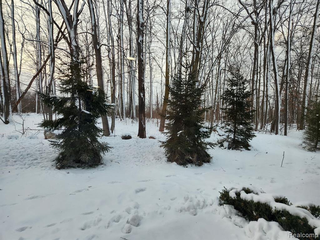 5600 ARBOR CHASE Drive, Ann Arbor, MI 48103 — Photo 18