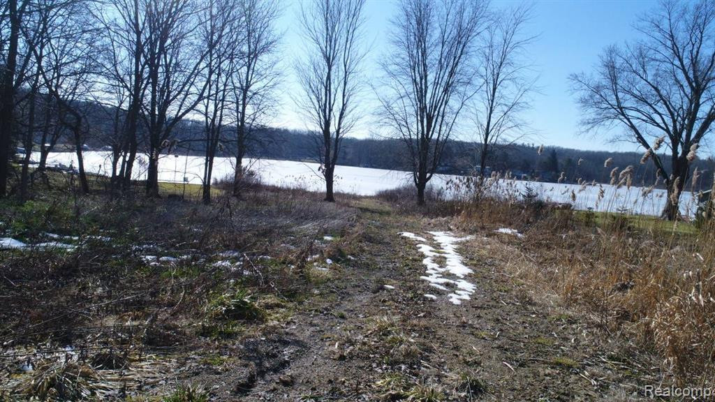 Vacant Lot E LAKE Drive, Metamora, MI 48455 — Photo 2