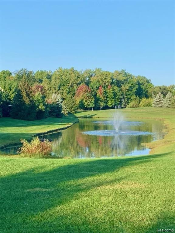 23714 ASHLEY Drive, Flat Rock, MI 48134 — Photo 32