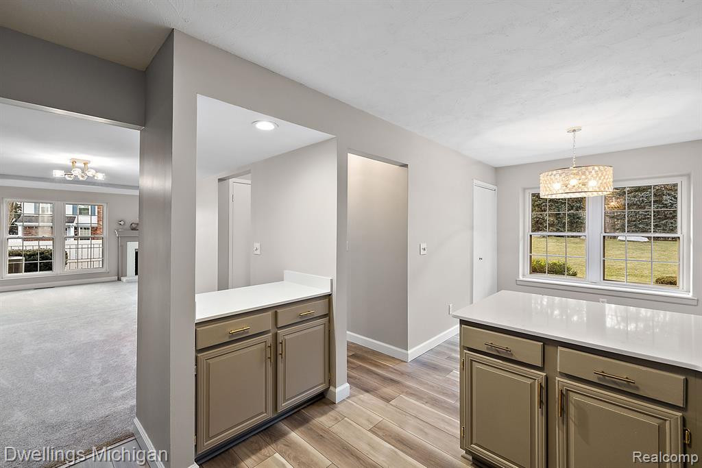 42194 ROSCOMMON Street, Northville, MI 48167 — Photo 19