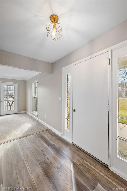 42194 ROSCOMMON Street, Northville, MI 48167 — Photo 25