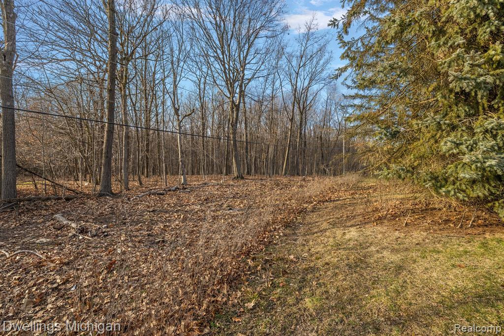42194 ROSCOMMON Street, Northville, MI 48167 — Photo 45