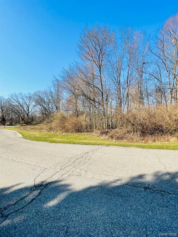 Lot 44 PEBBLE CREEK DRIVE, Pinckney, MI 48169 — Photo 3