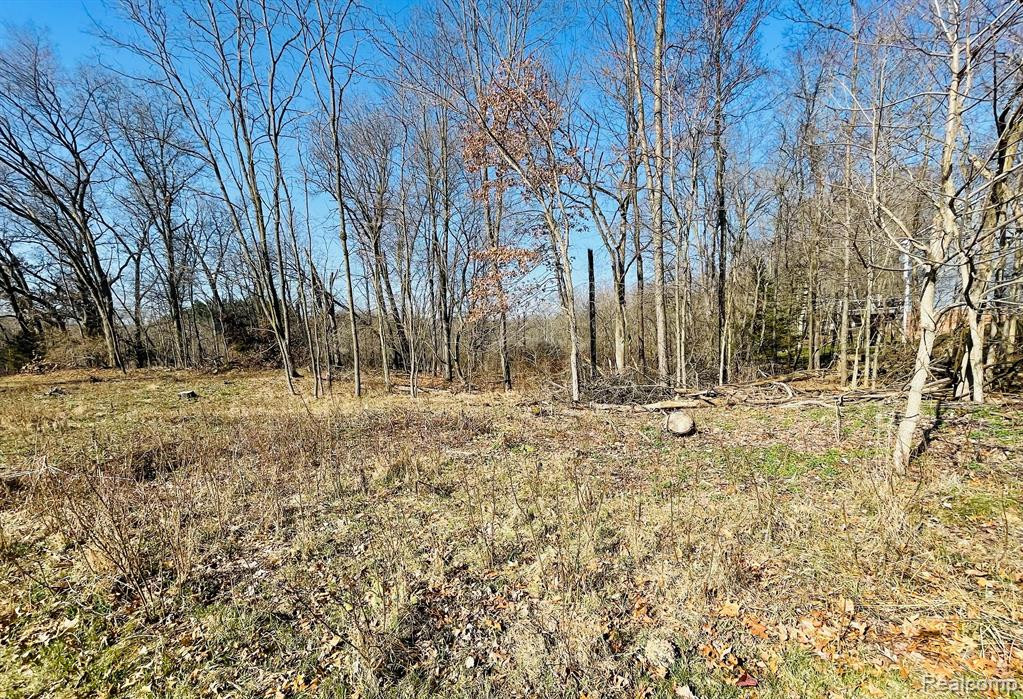 Lot 44 PEBBLE CREEK DRIVE, Pinckney, MI 48169 — Photo 4