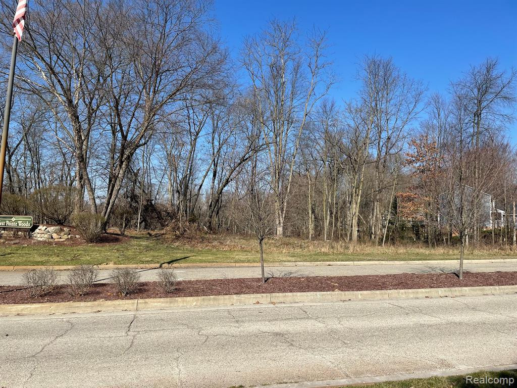 Lot 44 PEBBLE CREEK DRIVE, Pinckney, MI 48169 — Photo 5