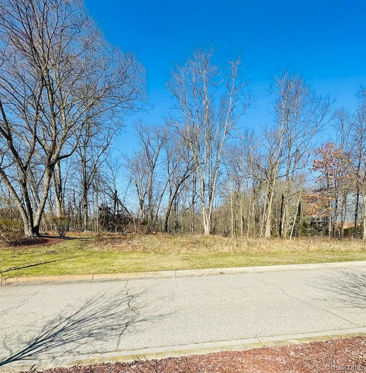 Lot 44 PEBBLE CREEK DRIVE, Pinckney, MI 48169 — Photo 6