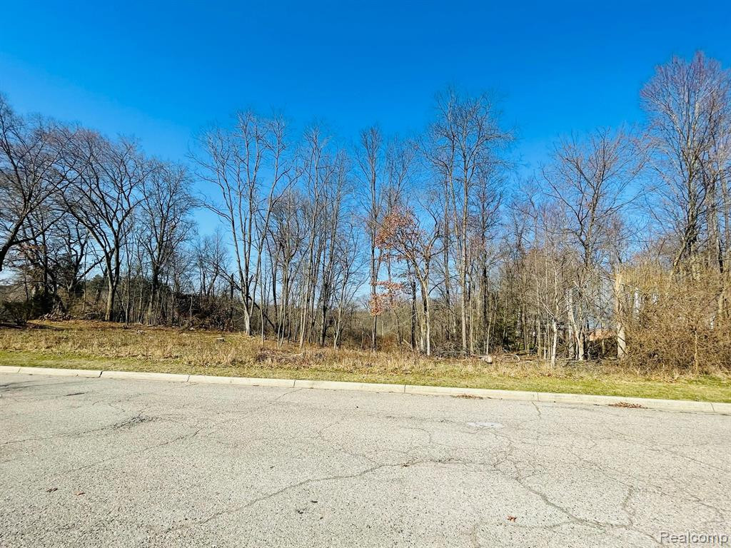 Lot 44 PEBBLE CREEK DRIVE, Pinckney, MI 48169 — Photo 7
