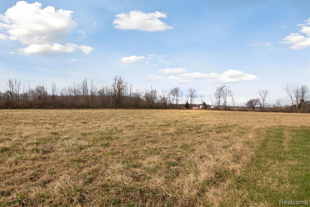 9711 WELCH Road, Tecumseh, MI 49286 — Photo 43