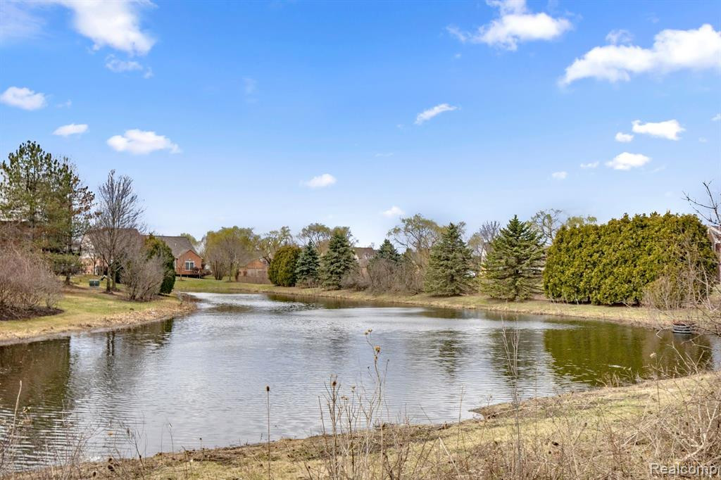 300 CHERRY STONE Drive, 36, Canton, MI 48188 — Photo 36