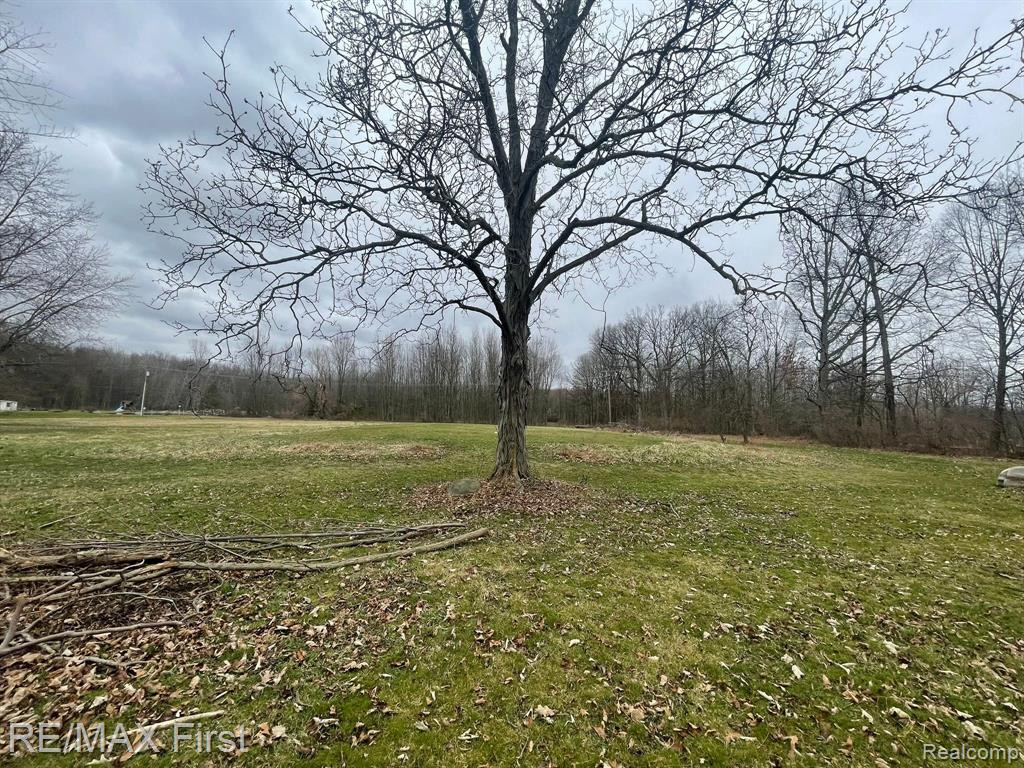 11293 DUNNIGAN Road, Emmett, MI 48022 — Photo 36