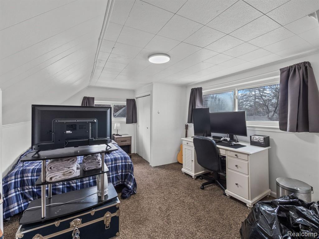 3304 PLATT Road, Ann Arbor, MI 48108 — Photo 19