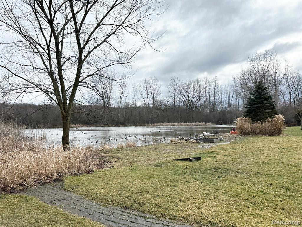 43382 ASHBURY Drive, Novi, MI — Photo 38