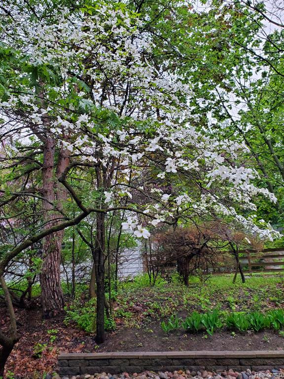 4948 CIMARRON Drive, Bloomfield Hills, MI 48302 — Photo 82