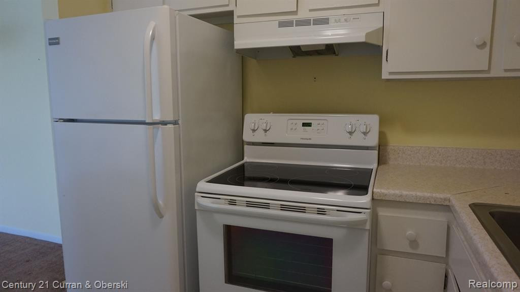 29541 BOBRICH Street, #61, Livonia, MI 48152 — Photo 13