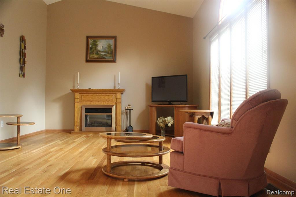 21570 RIVER RIDGE, Farmington Hills, MI 48335 — Photo 12