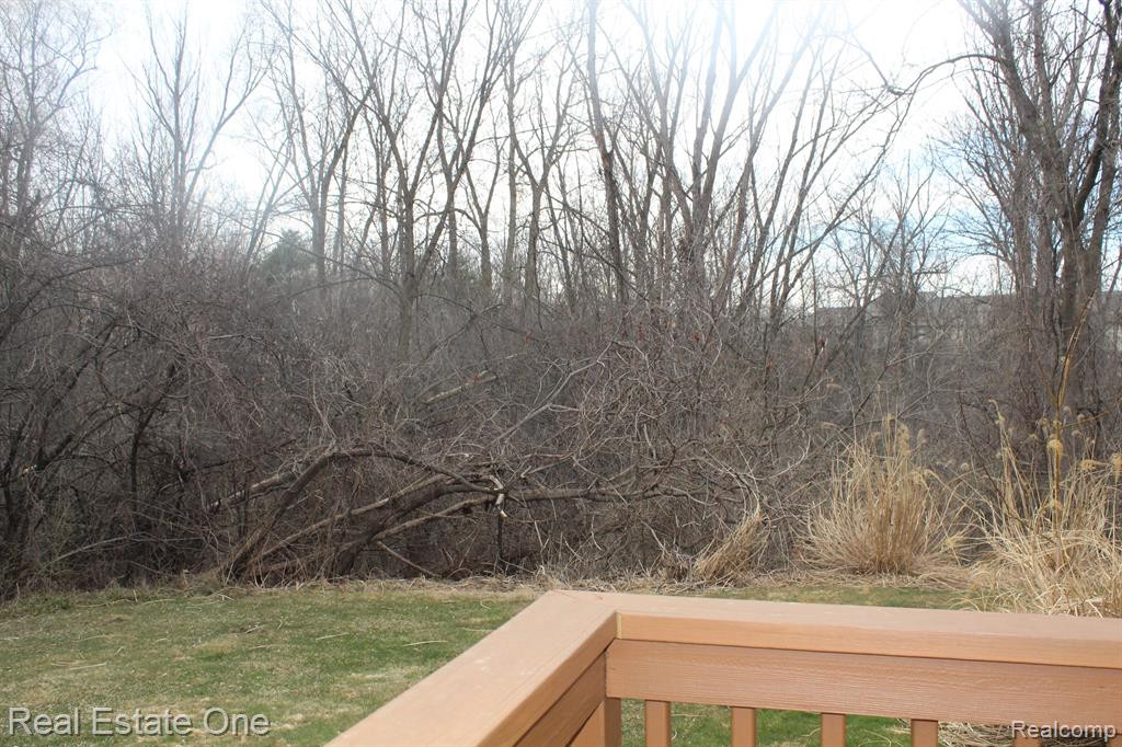 21570 RIVER RIDGE, Farmington Hills, MI 48335 — Photo 27