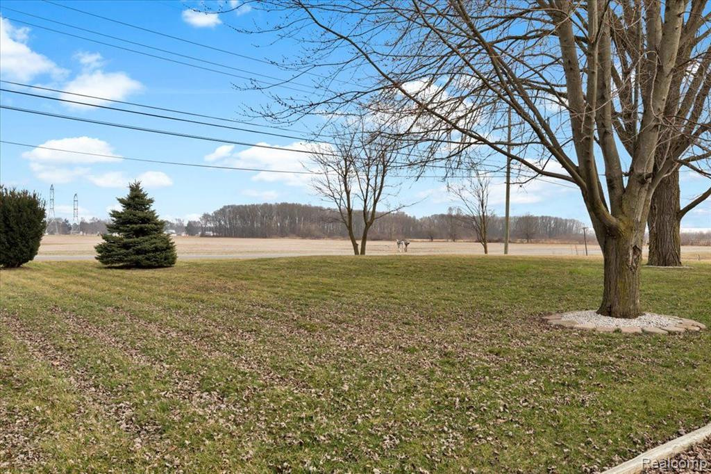 9971 EXETER Road, Carleton, MI 48117 — Photo 44