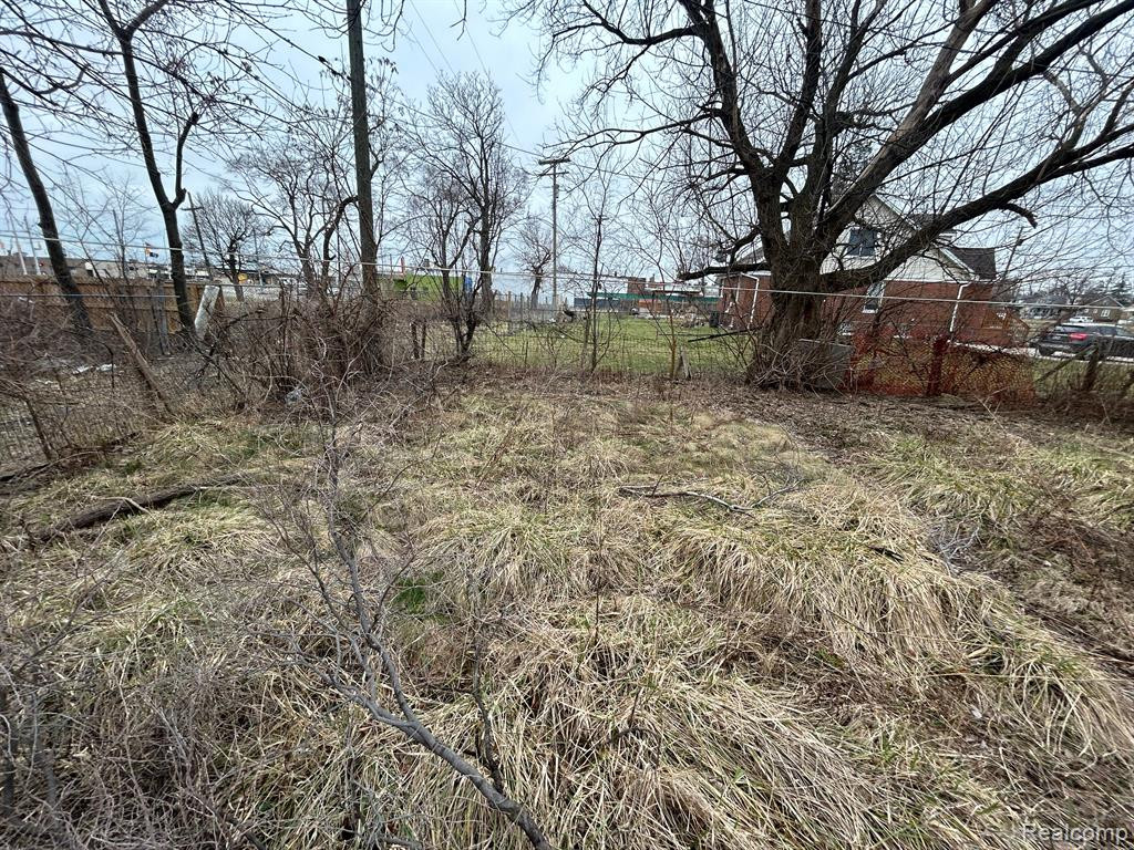 9138 GRACE Street, Detroit, MI 48213 — Photo 94