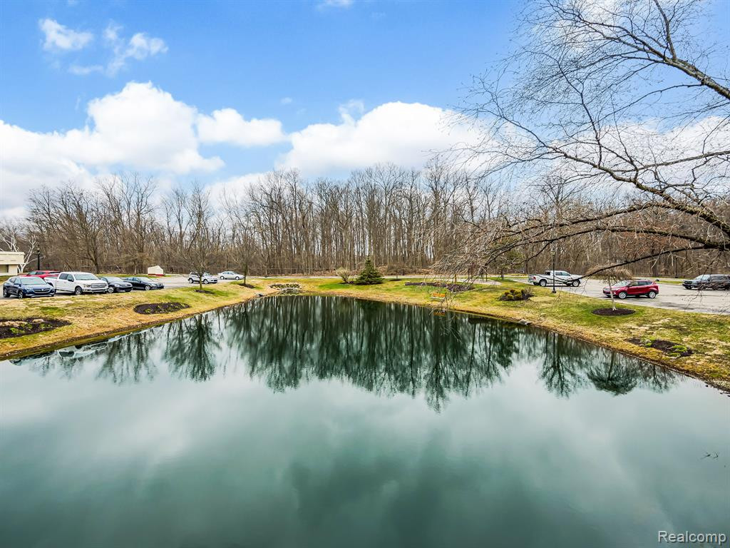 43100 12 OAKS CRESCENT Drive, 4022, Novi, MI 48377 — Photo 22