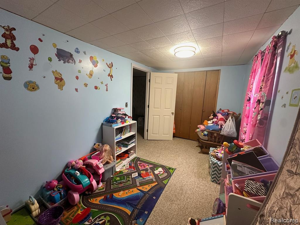 6129 2ND Street, Mayville Vlg, MI 48744 — Photo 22
